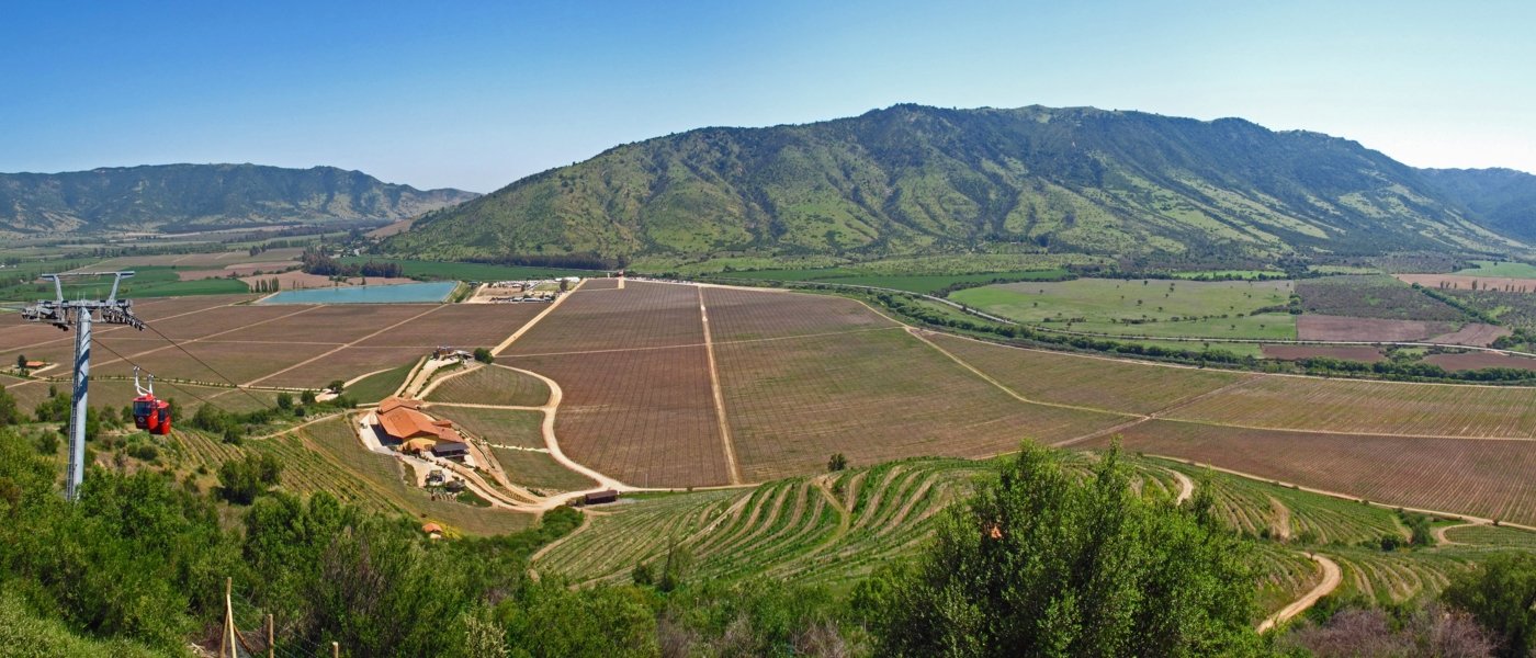 Colchagua Valley - Wine Paths